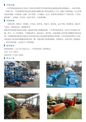 濟南市羅茨鼓風機|羅茨鼓風機供應商|羅茨鼓風機,三葉羅茨風機,羅茨風機廠家,二葉羅茨鼓風機